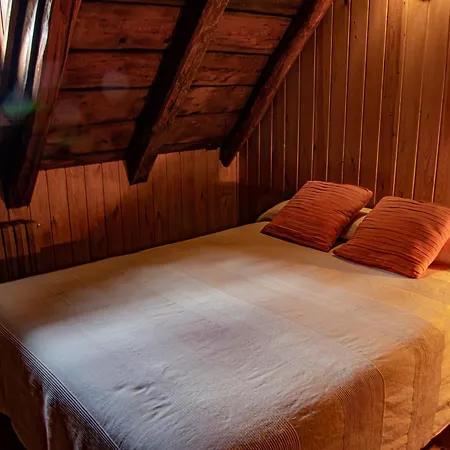 Holiday home Cobert De Felip Gavas